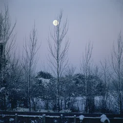 Crepúsculo
